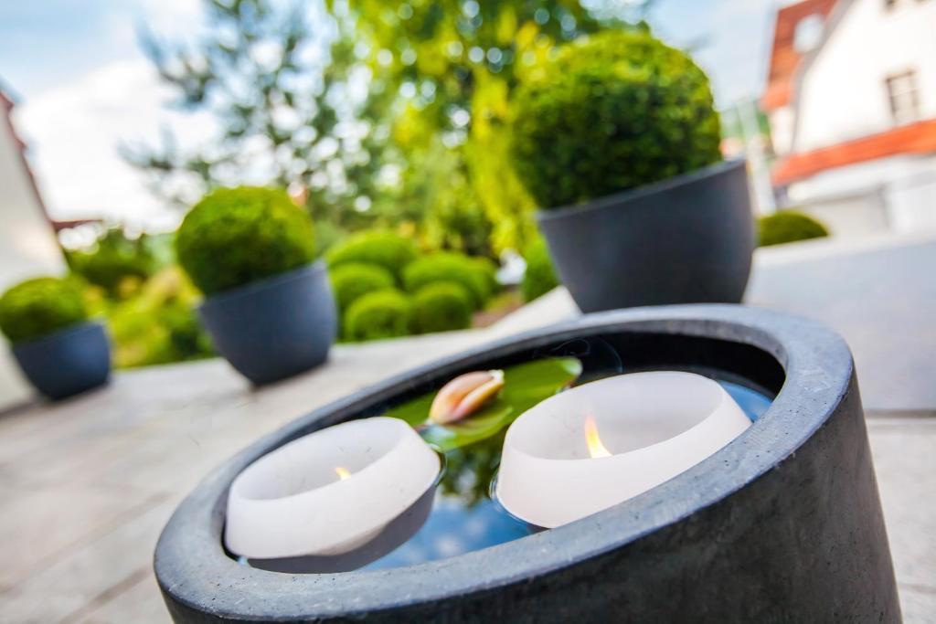 Boutique-Hotel Villa Anna ไอเซนัค ภายนอก รูปภาพ