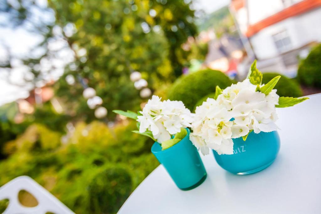 Boutique-Hotel Villa Anna ไอเซนัค ภายนอก รูปภาพ